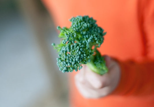 5 Tips to Get your Kids Excited about Healthy Eating