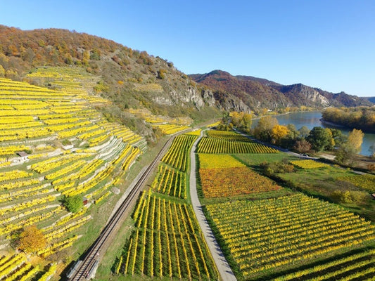 biodynamic food farm