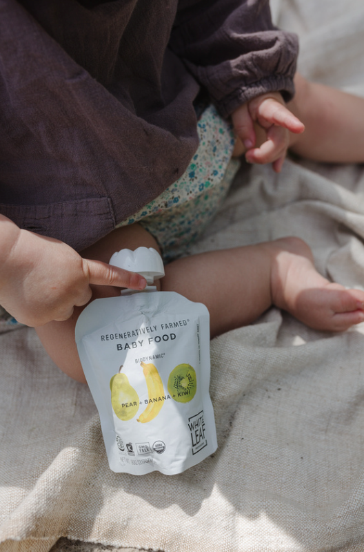 Organic Regeneratively Farmed® Pear + Banana + Kiwi Baby Food Pouch | White Leaf Provisions